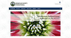 Desktop Screenshot of bsi.org